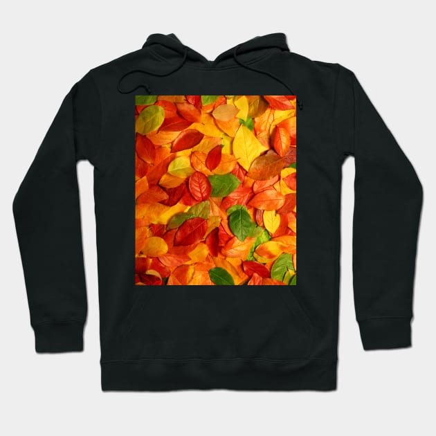 Golden Autumn Leaves Hoodie by Peter the T-Shirt Dude